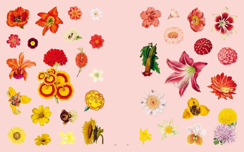 Extraordinary Things klistermærkebog